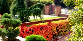 Zahrady snů Daniel Purgert, realizace zahrad autorské zahrady ORIGINAL GARDEN